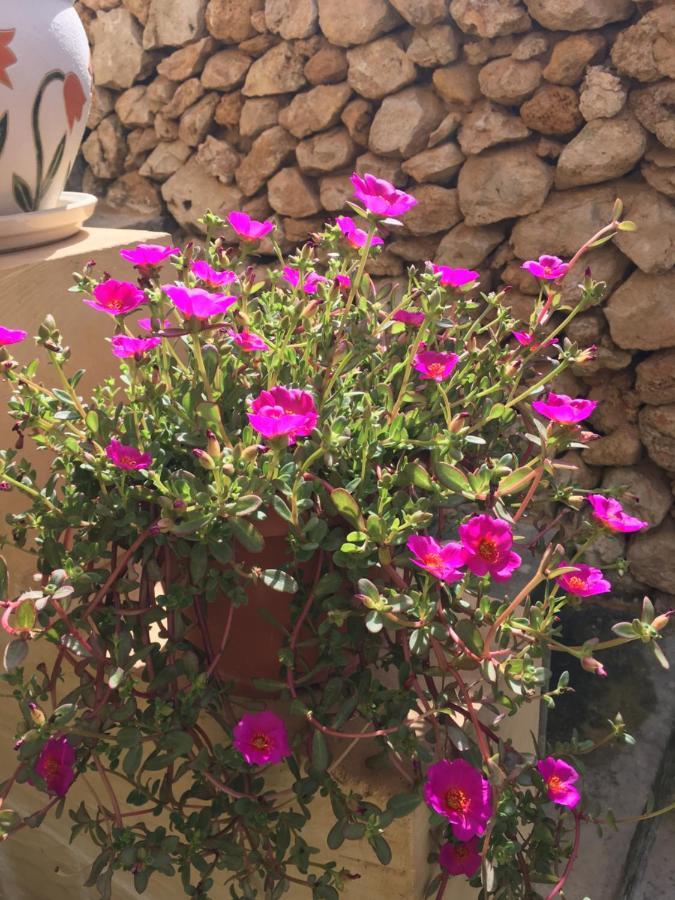 Botanica B&B Xagħra エクステリア 写真