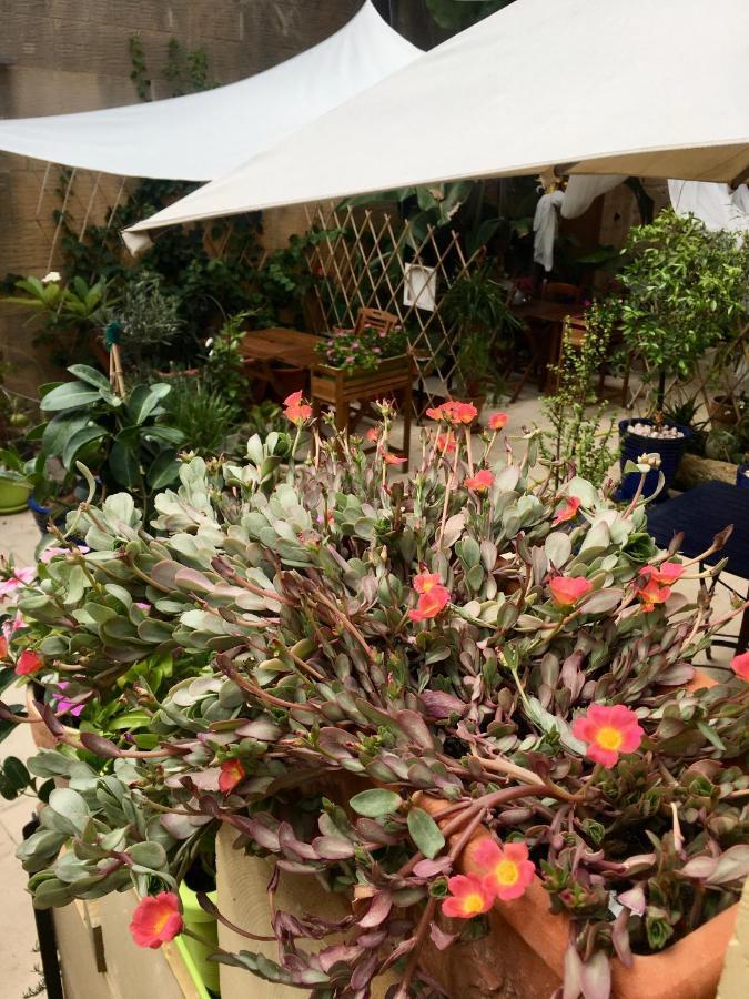 Botanica B&B Xagħra エクステリア 写真