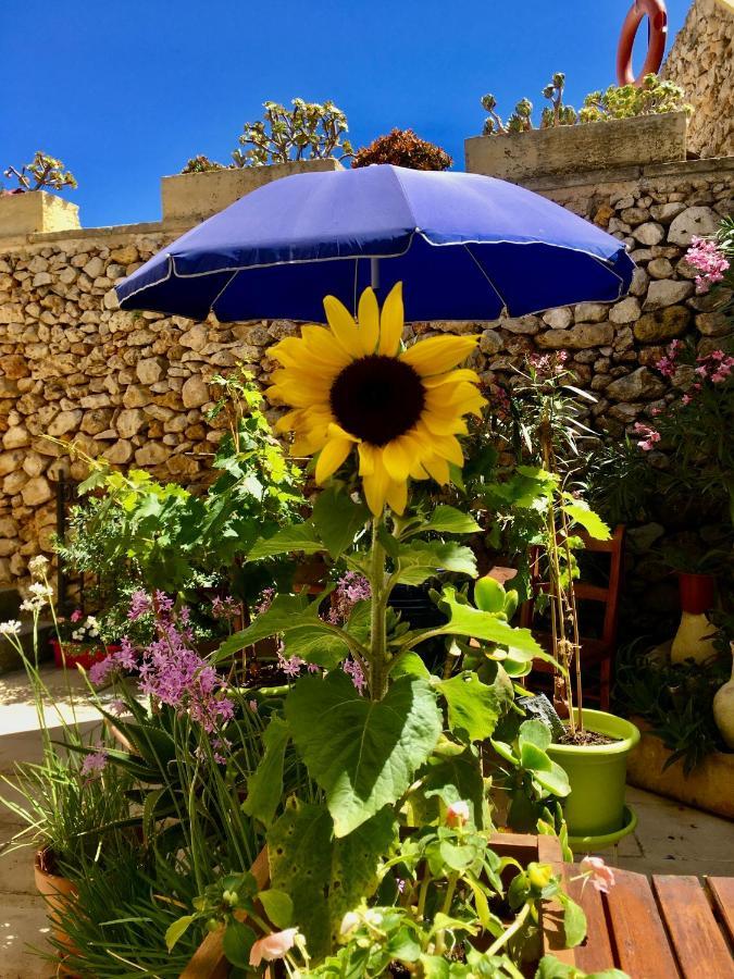 Botanica B&B Xagħra エクステリア 写真