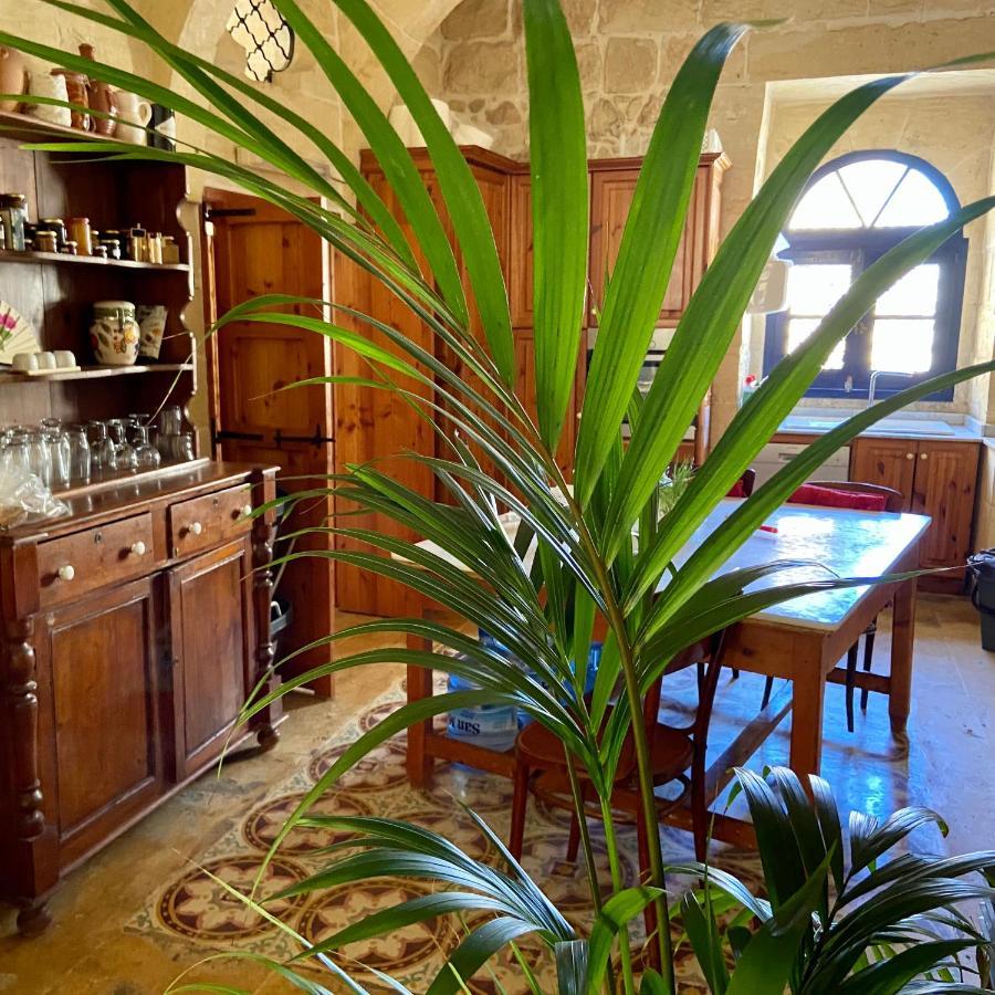 Botanica B&B Xagħra エクステリア 写真
