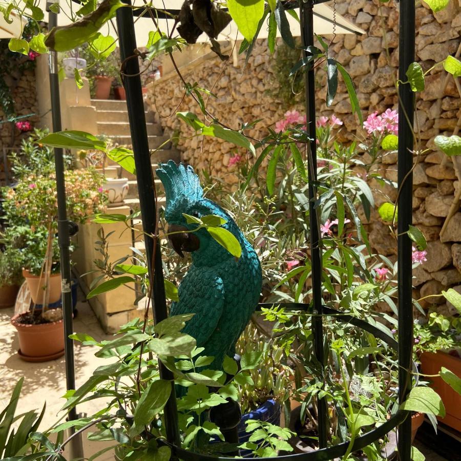 Botanica B&B Xagħra エクステリア 写真
