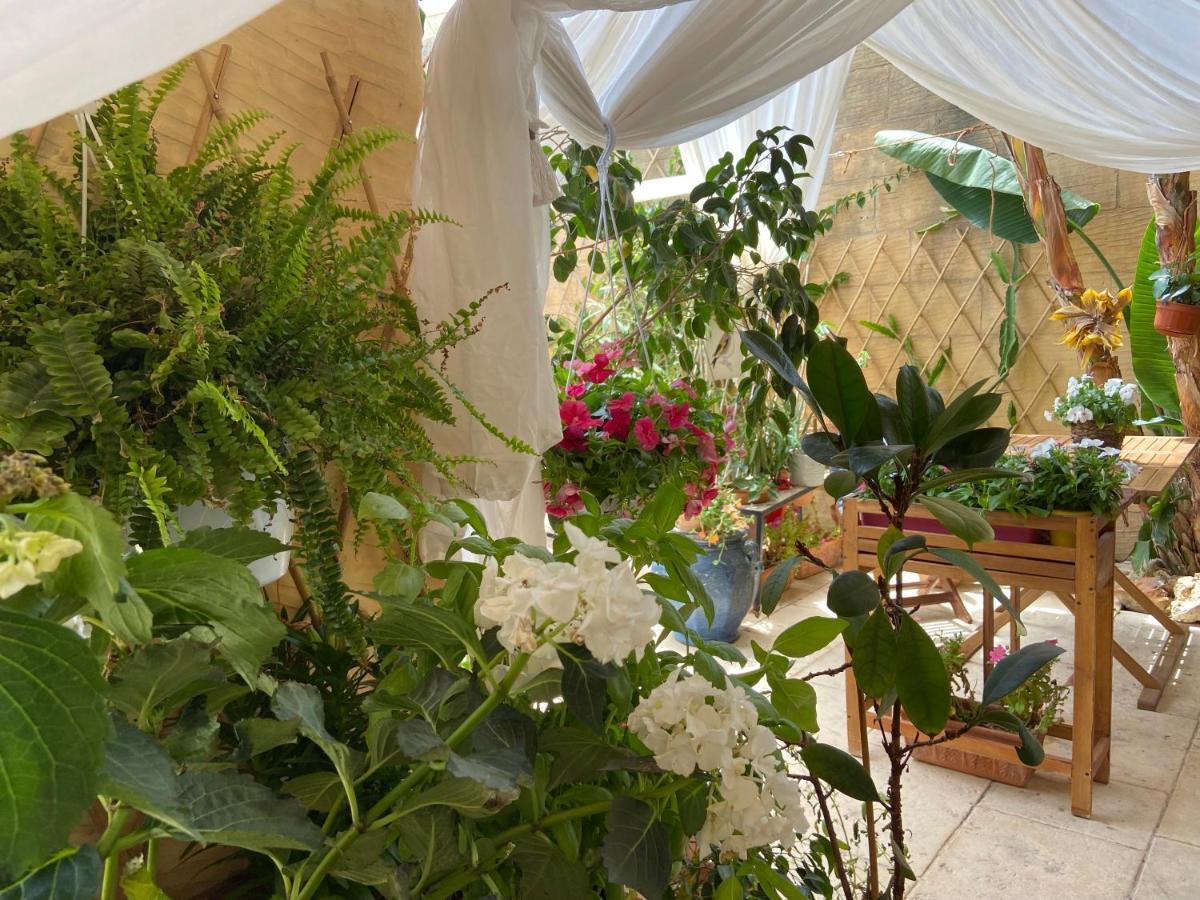 Botanica B&B Xagħra エクステリア 写真